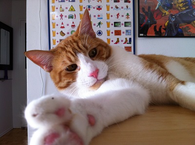 Walter!